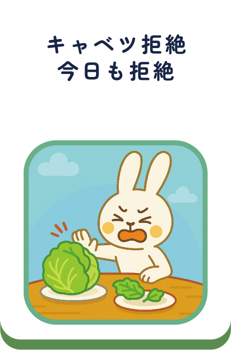 キャベツ拒絶今日も拒絶