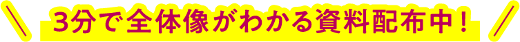 3分で全体像がわかる資料配布中！